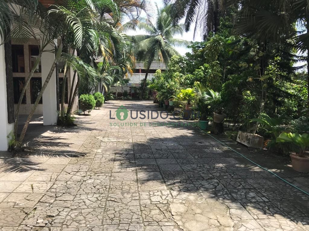 APPARTEMENT MEUBLÉ HAUT STANDING Bonapriso