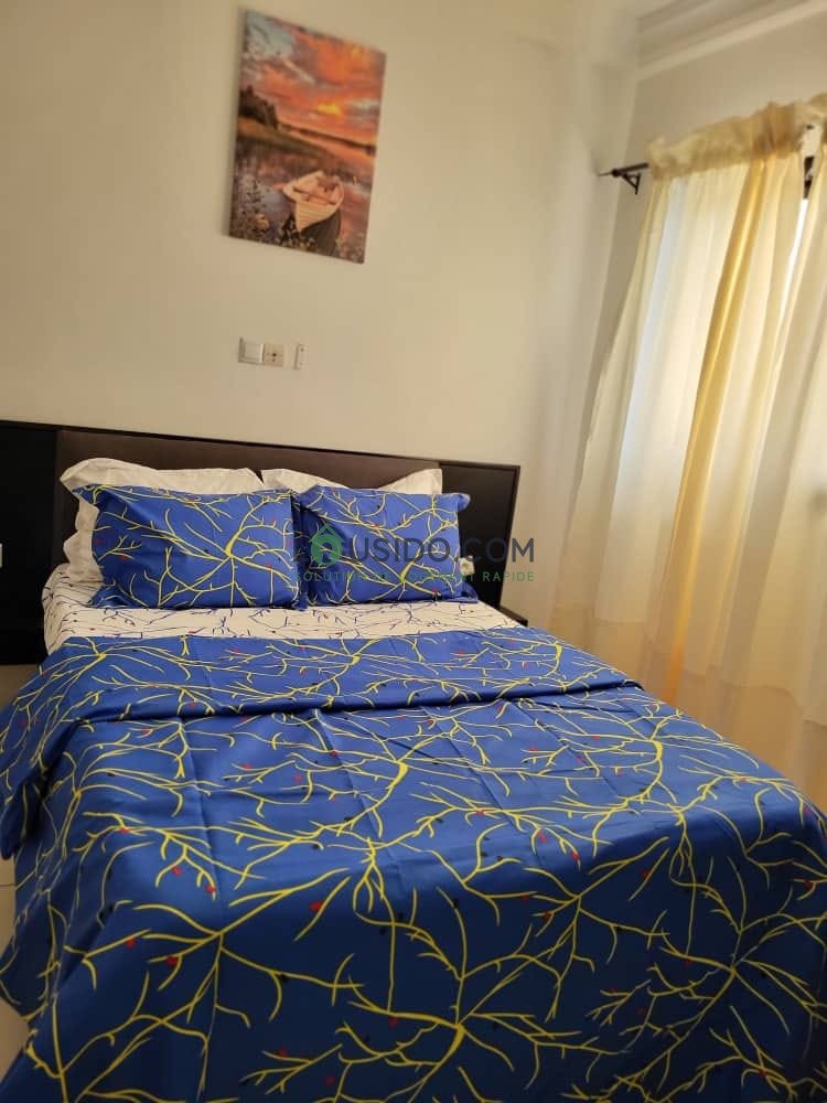 Appartement meublé avec confort assuré à bonamoussadi denver