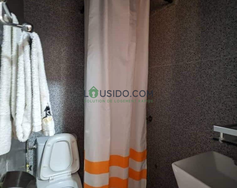 Appartement meublé lux Yaoundé Bastos