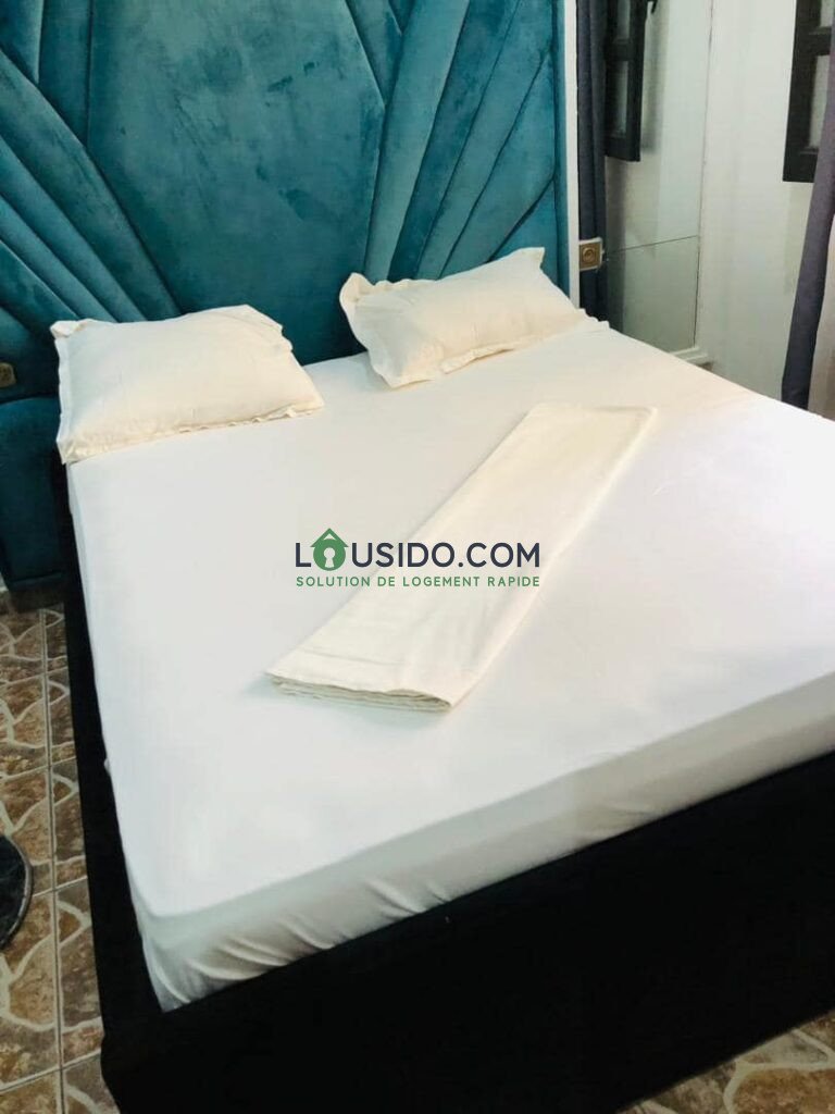 Appartement meublé de deux chambres au quartier Bastos