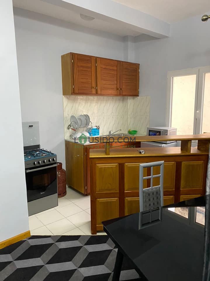 Appartements meublés de deux chambres chic