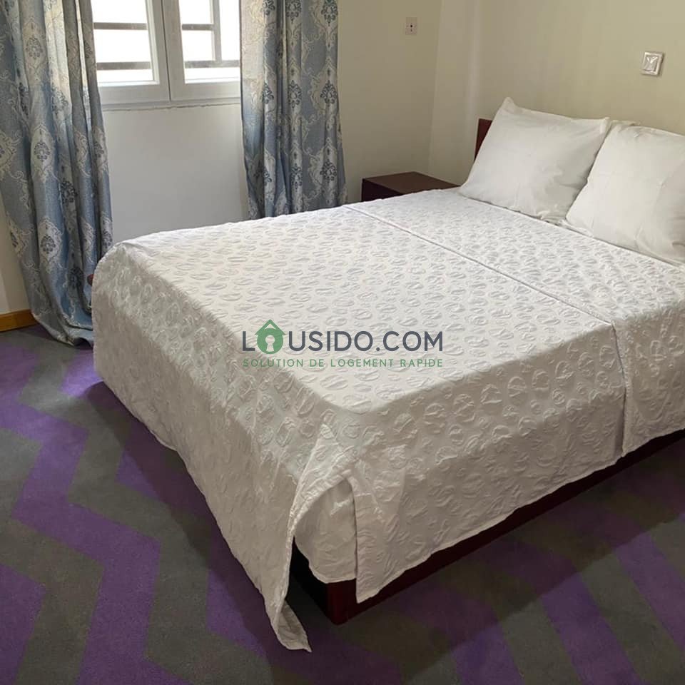 Appartements meublés de deux chambres chic