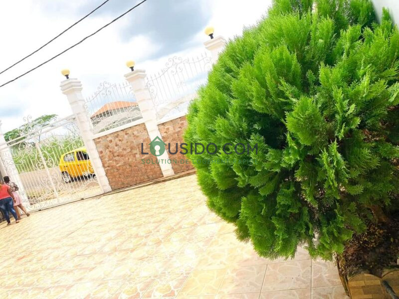 appartement meublé Yaoundé piscine disponible