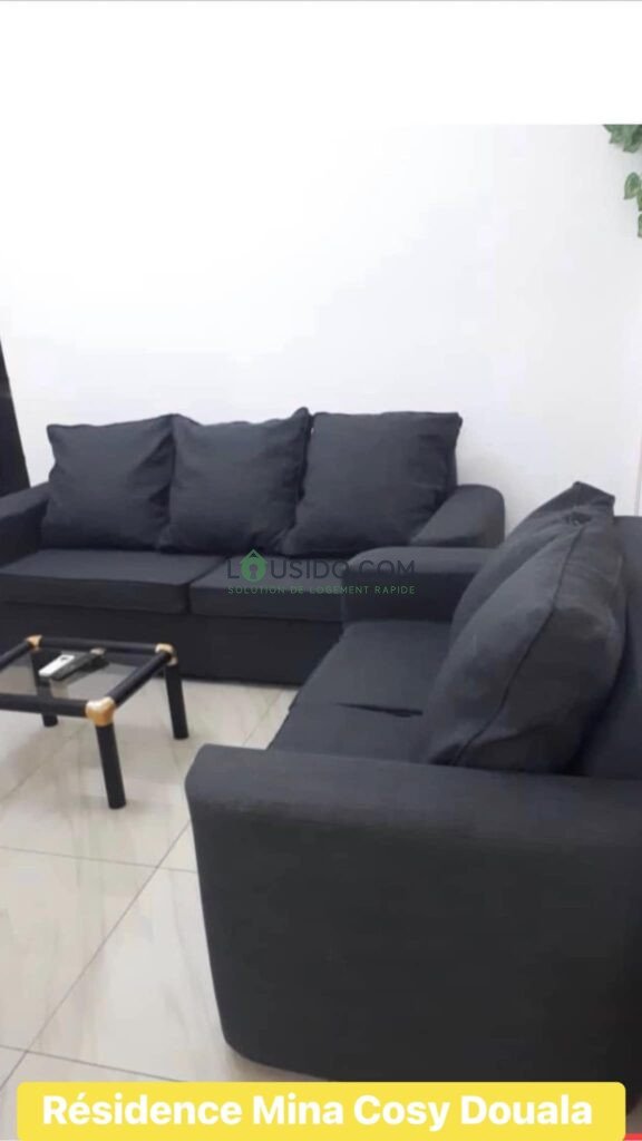 Appartement Meublé Douala de 2 chambres